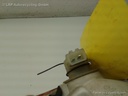 1004041491006_20160812113456.jpg