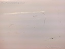 1004021681006_20160714103012.jpg