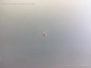 1003986911006_20160511144143.jpg