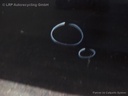 1003944691006_20160301100820.jpg