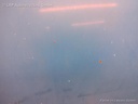 1003926671006_20160215125954.jpg