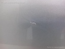 1003922511006_20160201093929.jpg