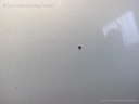 1003849241006_20151030112545.jpg