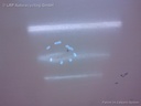 1003700031006_20150313102450.jpg
