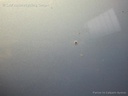 1003624171006_20141202103438.jpg