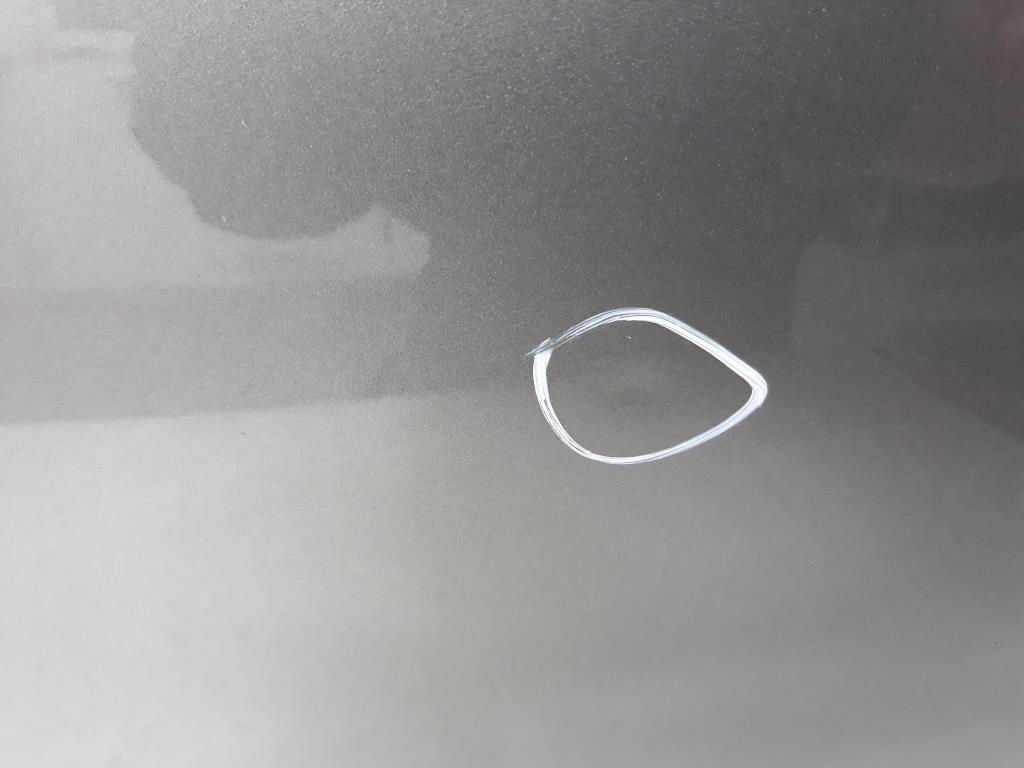 1004658821006_20200402161232.jpg