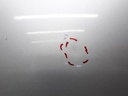 1004679881006_20191126163433.jpg