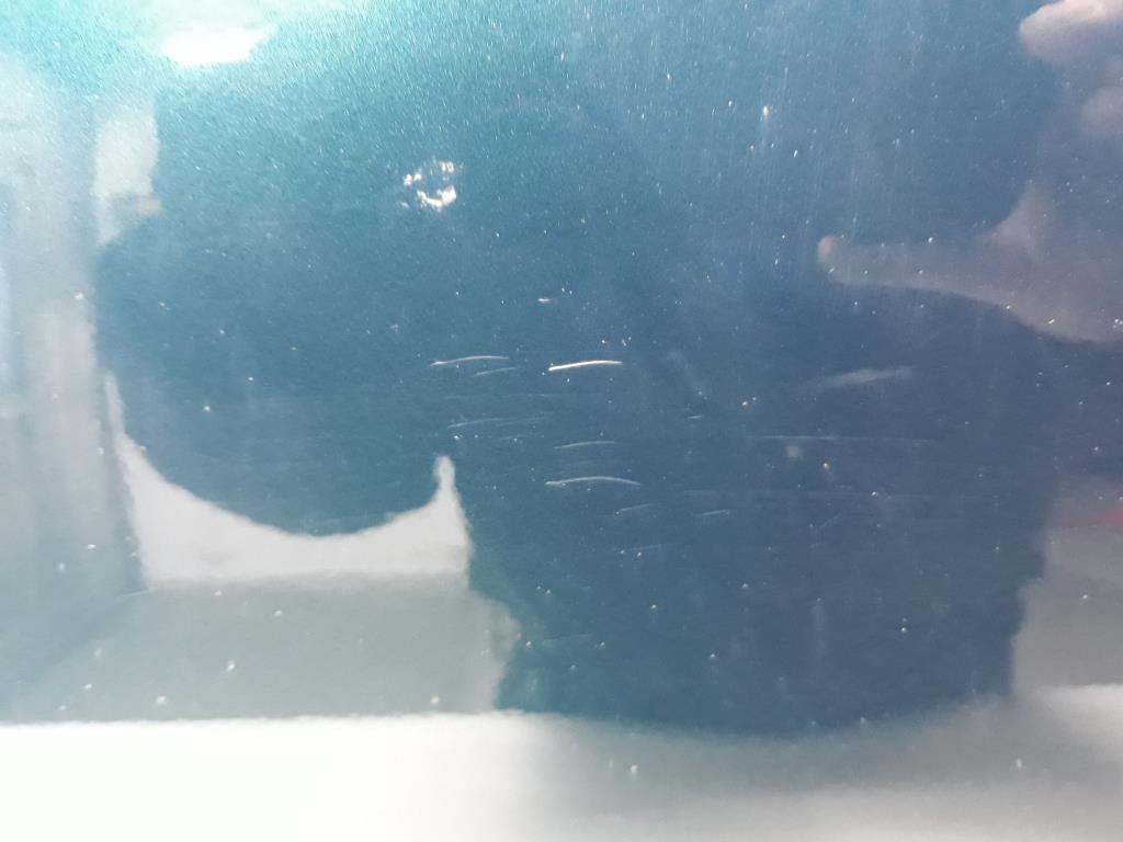 1004360681006_20190110154159.jpg