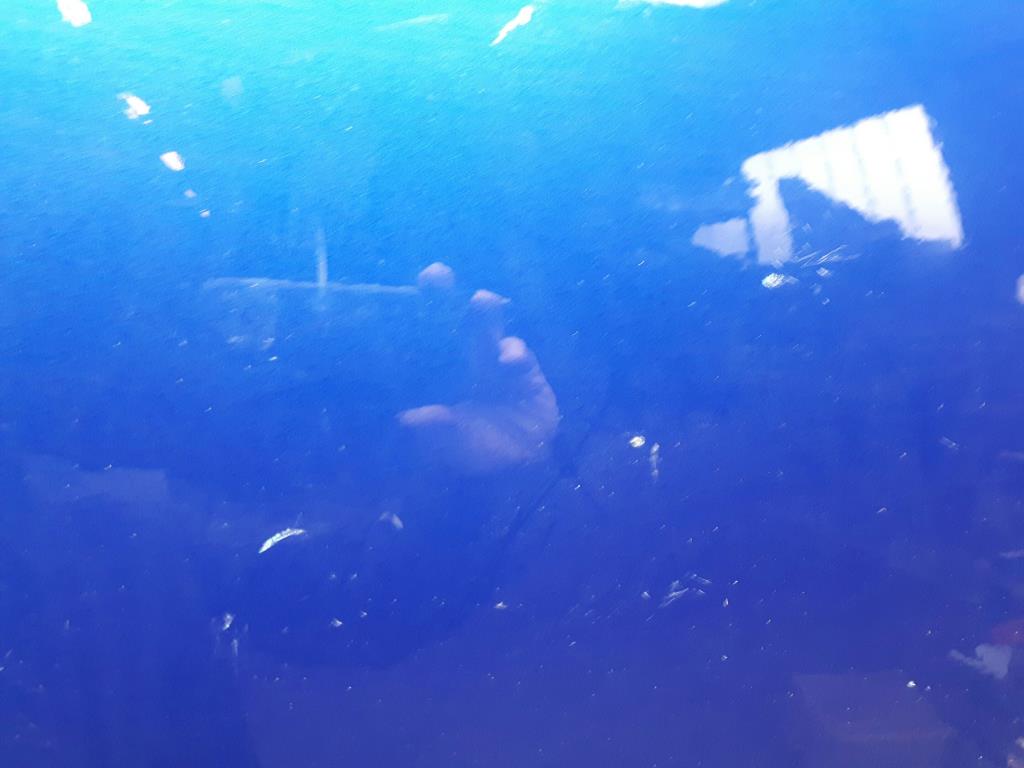 1004747531006_20181122110821.jpg