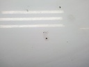 1004670981006_20180823154013.jpg