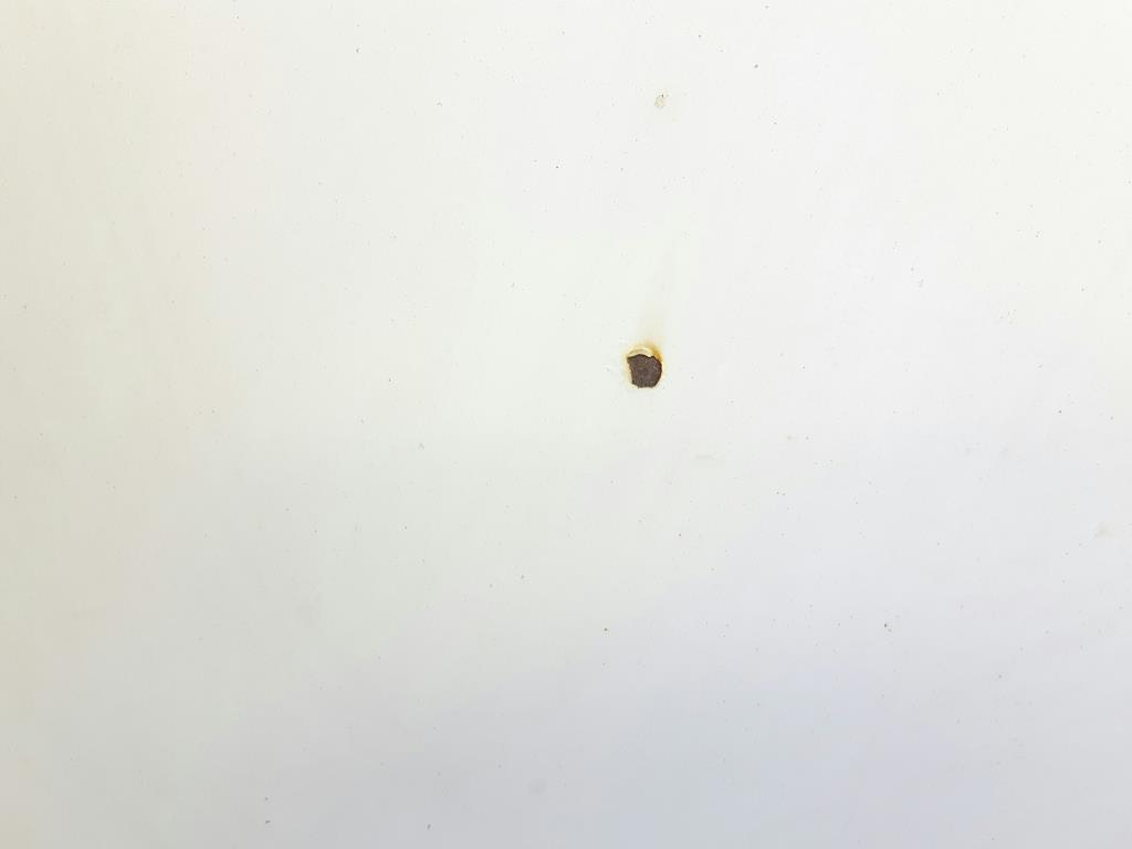 1004658881006_20180815111648.jpg