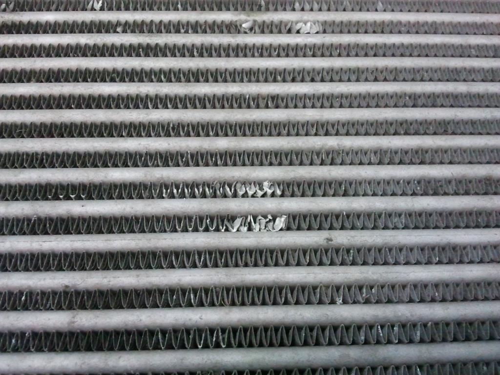 1004660371006_20180731171257.jpg