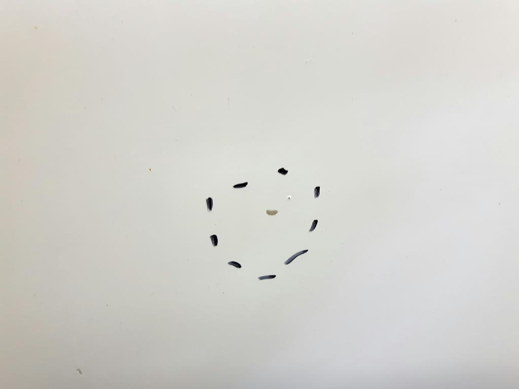 1004628701006_20180706143851.jpg