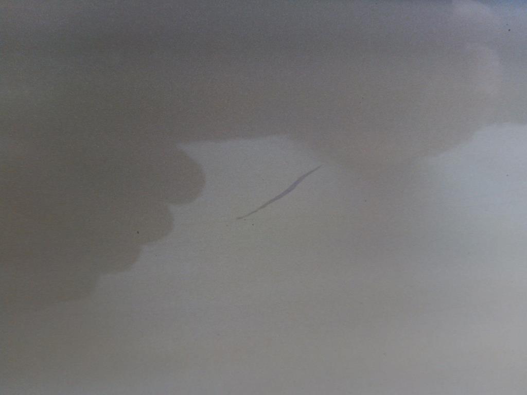 1004572251006_20180414093136.jpg