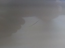 1004572251006_20180414093136.jpg