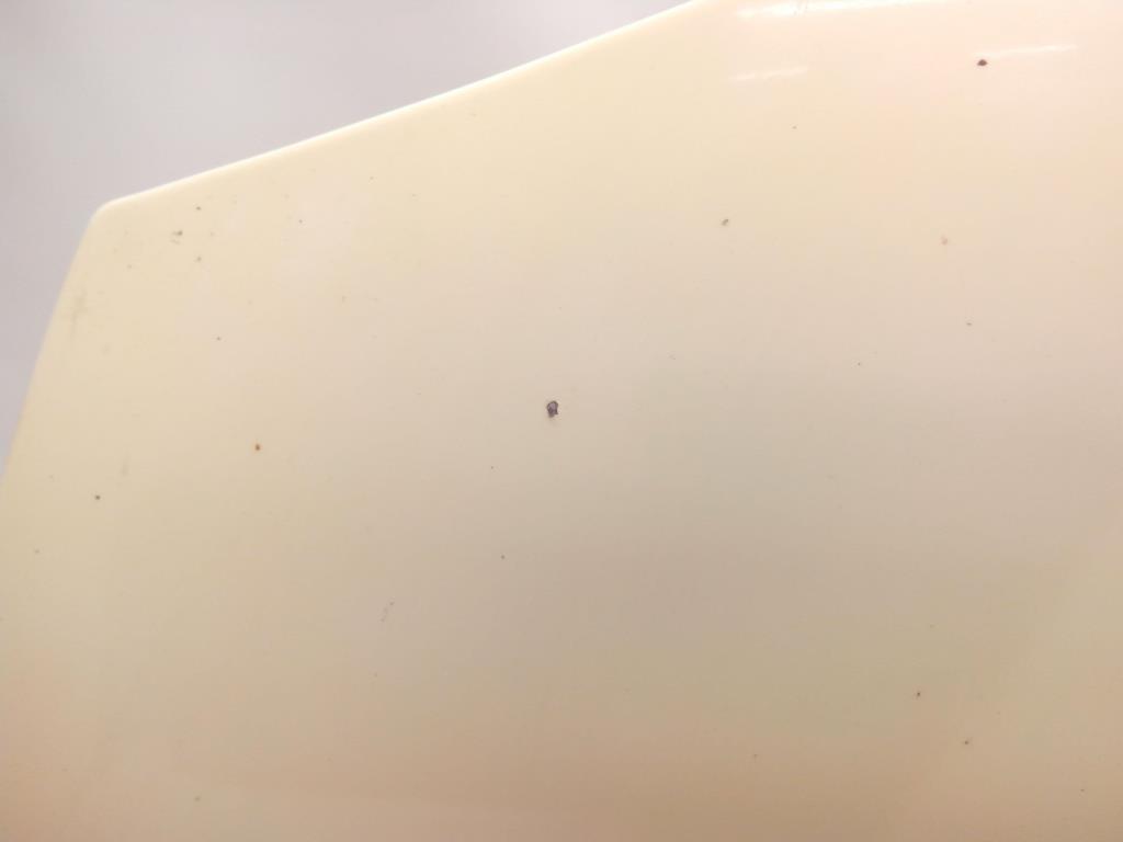 1004562881006_20180412165716.jpg
