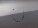 1004415711006_20170926165548.jpg