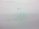 1004352921006_20170629095154.jpg