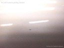 1004318431006_20170517112020.jpg
