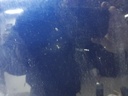 1005081761006_20200330170344.jpg