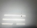 1005053611006_20200313153825.jpg