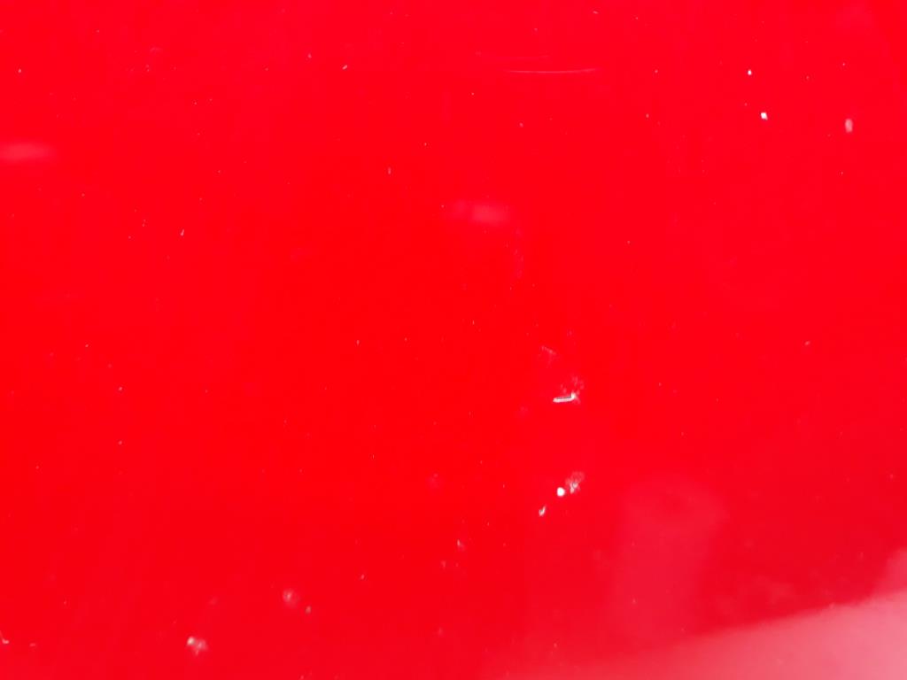 1005050981006_20200224143211.jpg