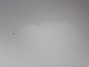 1005034891006_20200204163534.jpg