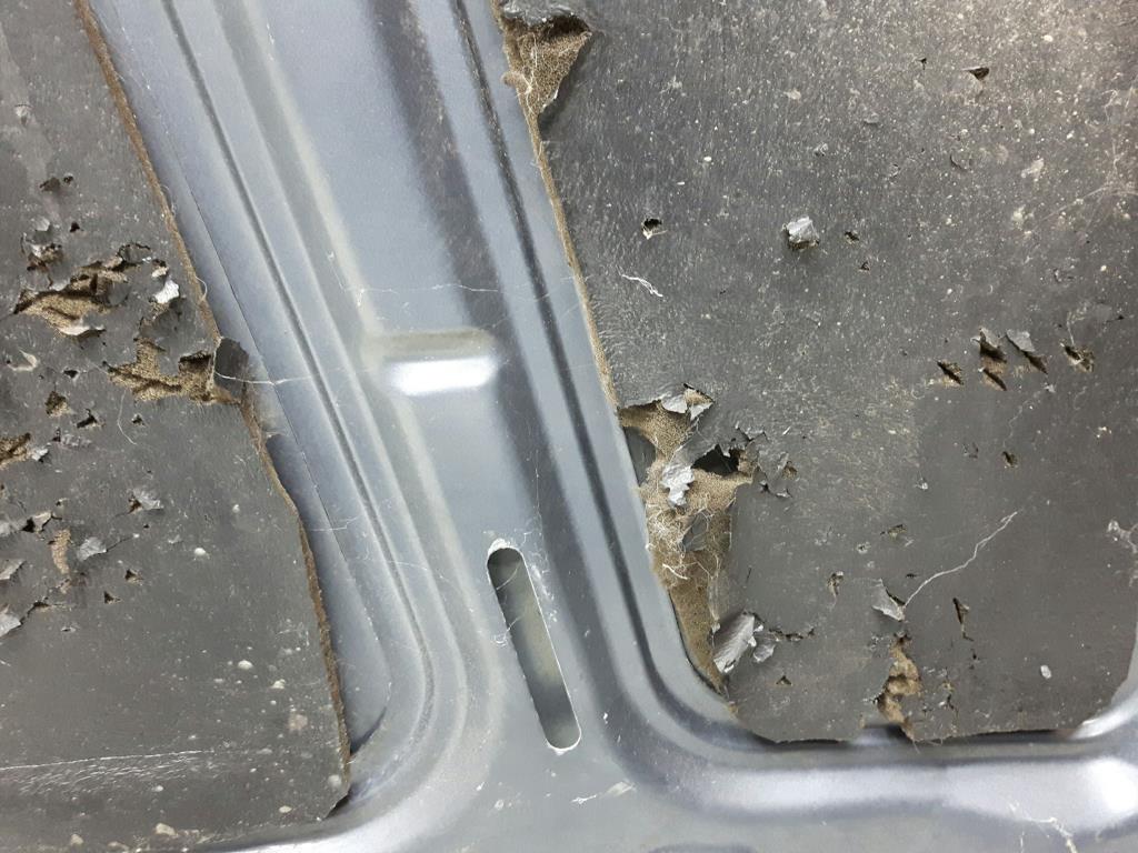 1005033981006_20200128162343.jpg