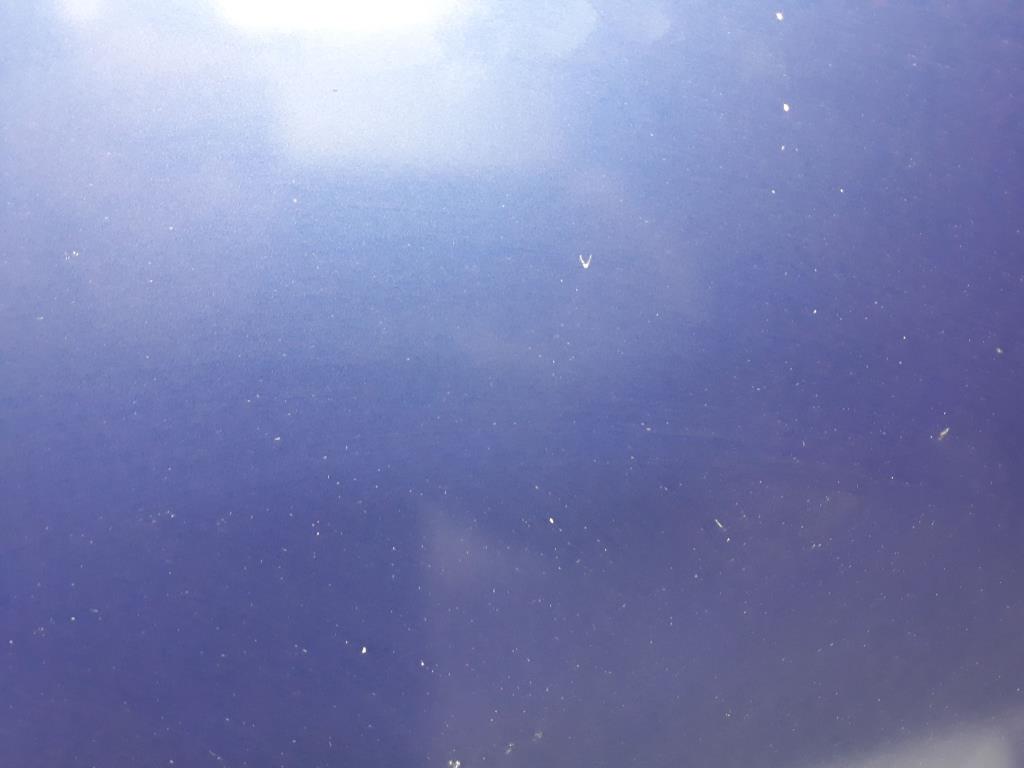 1005001351006_20191213130748.jpg