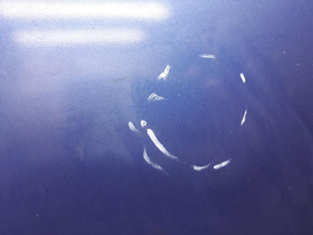 1005001351006_20191213130724.jpg