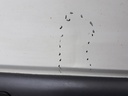 1004982061006_20191125171852.jpg