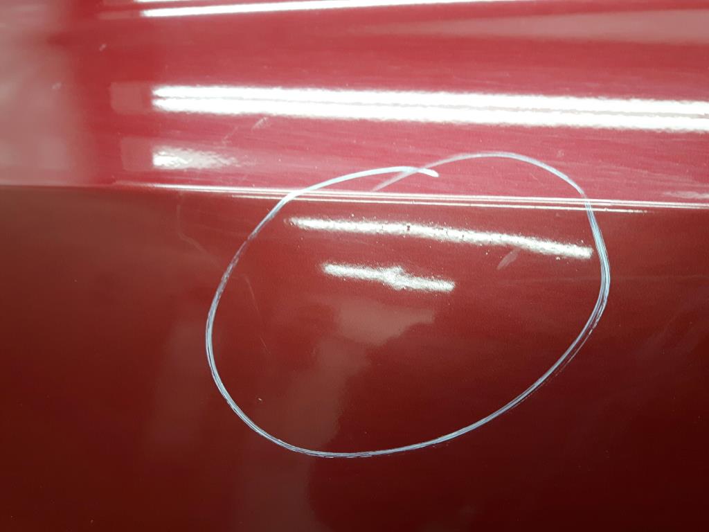 1004979321006_20191113093622.jpg