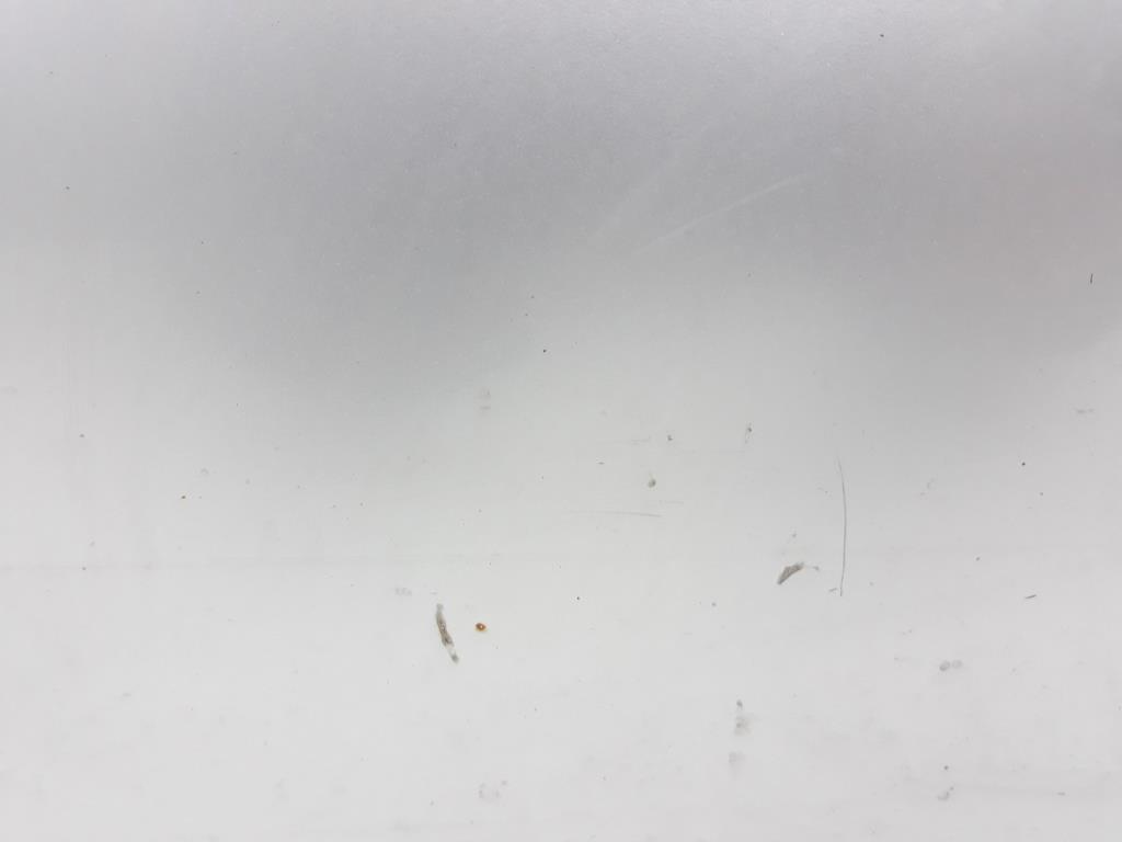 1004955121006_20191010135846.jpg