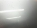 1004893081006_20190806141547.jpg