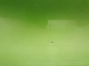 1004881531006_20190702152418.jpg