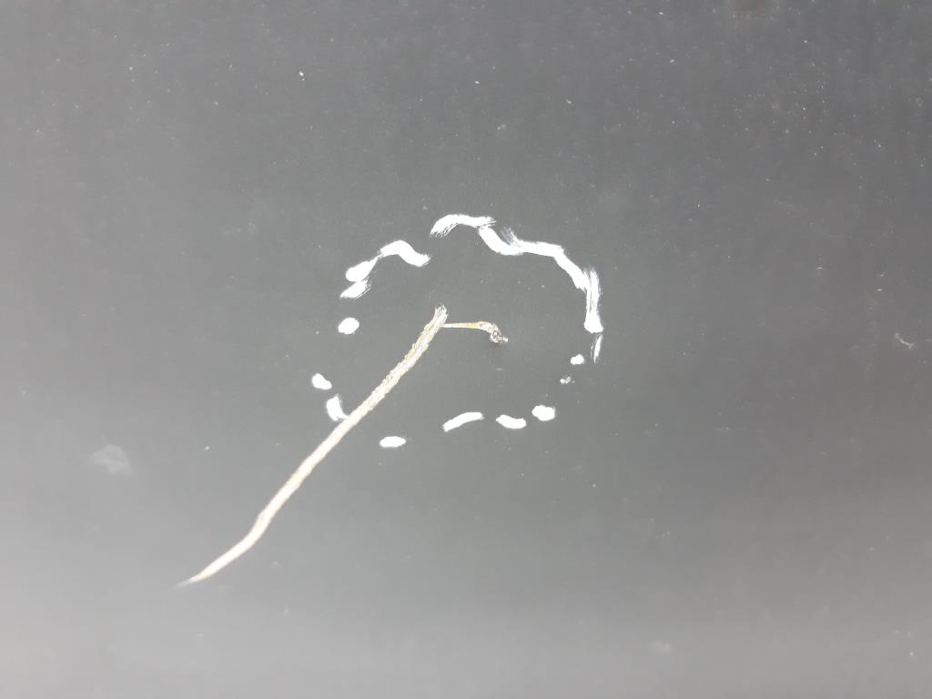 1004878321006_20190702093914.jpg