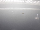 1004877101006_20190625143600.jpg