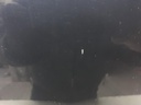 1004829661006_20190402140925.jpg
