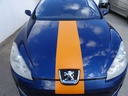 DSC08441.JPG