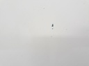 1004819451006_20190313110914.jpg