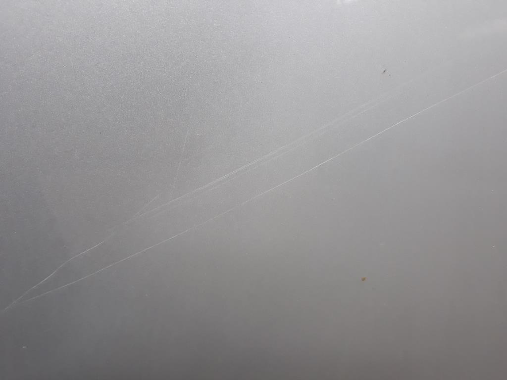 1004817551006_20190308165500.jpg