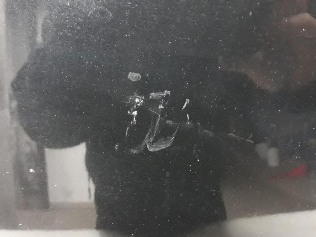 1004816351006_20190307161605.jpg