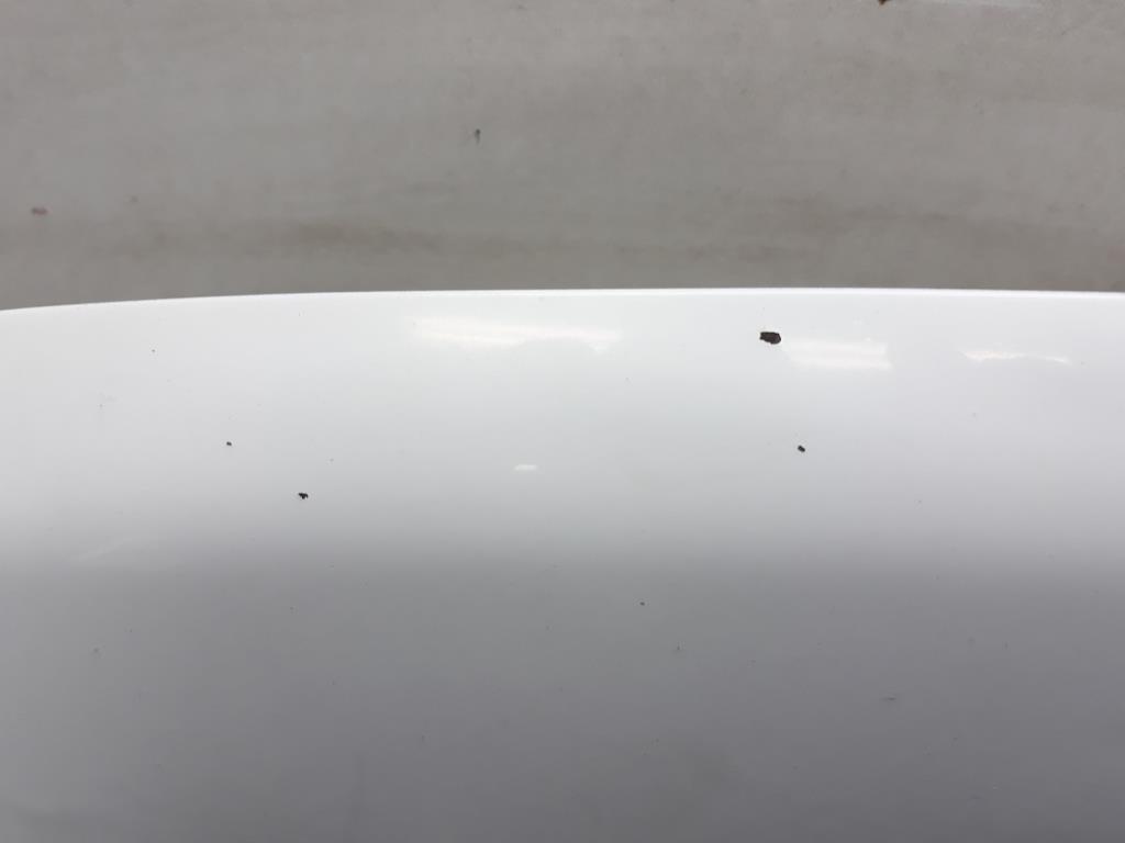 1004807001006_20190223105722.jpg
