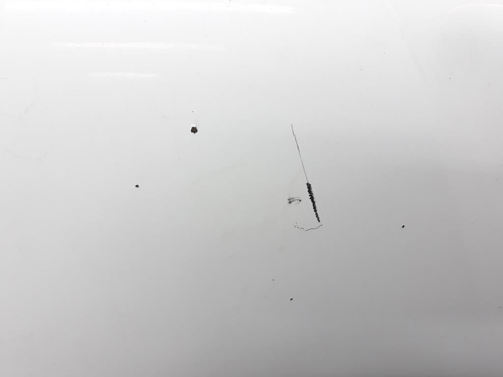 1004807001006_20190223105711.jpg