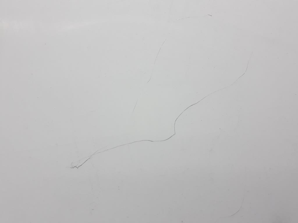 1004795301006_20190216092544.jpg