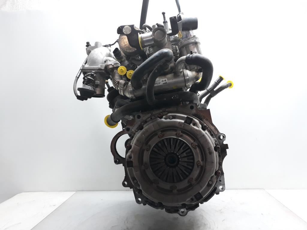 1004793031006_20190201130608.jpg
