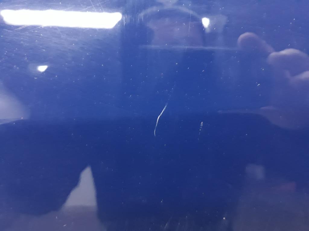 1004782001006_20190121094204.jpg