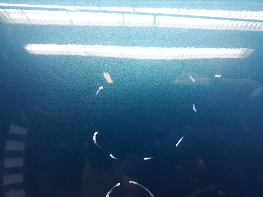1005180111006_20200916091327.jpg