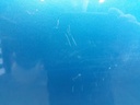 1005180111006_20200916091250.jpg