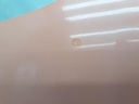 1005181501006_20200911101342.jpg